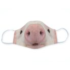 Malacos egyedi szájmaszk