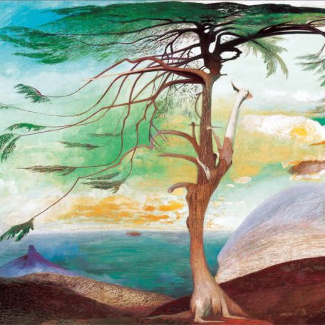 Csontváry cédrus fülbevaló