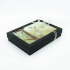 Csontváry cédrus sál