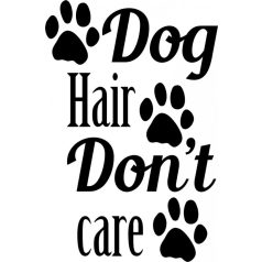 Dog hair don't care festővászon