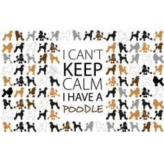 I can't keep calm pudli poszter