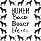 Kutyafajták matrica