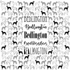 Kutyafajták poszter