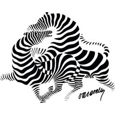 Op-art futó zebra festővászon