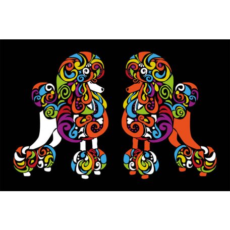 Színes uszkár poszter